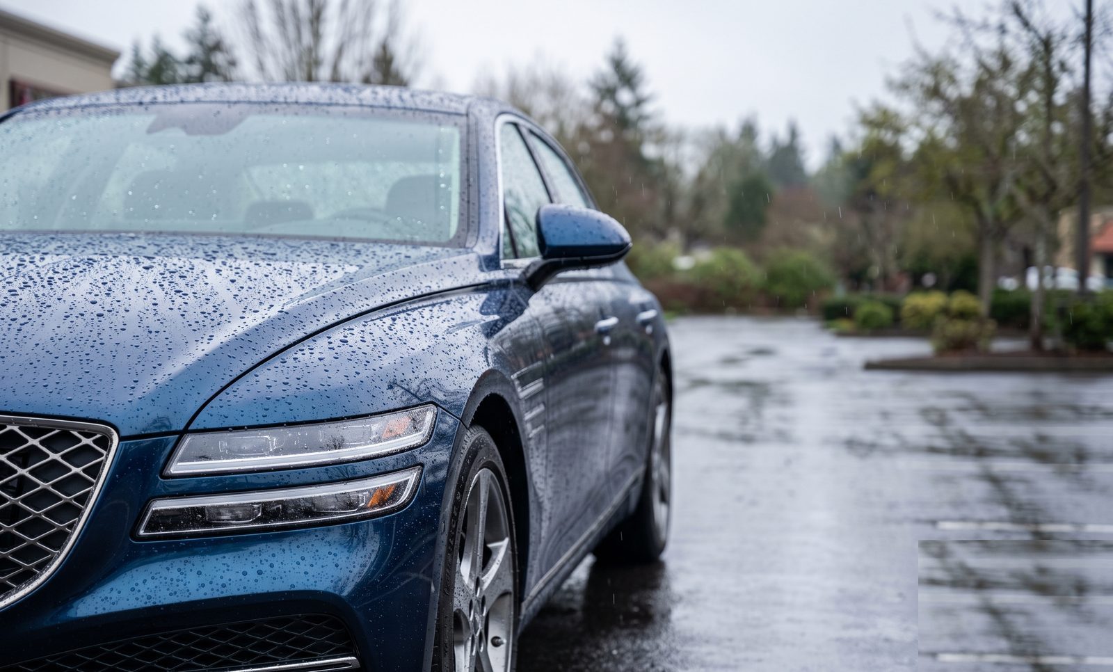 The same car coated with Upland CLOSE — rain beads into tight droplets over a deep gloss